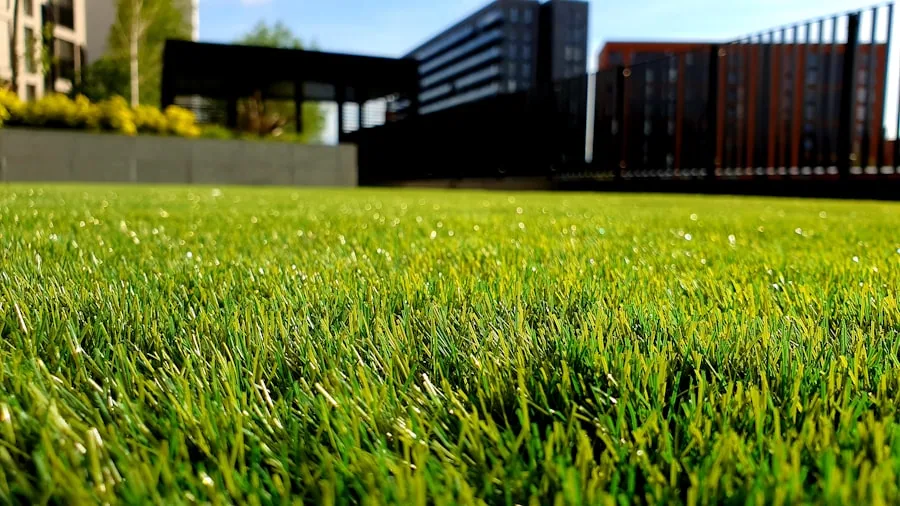 Landscaping & lawn care